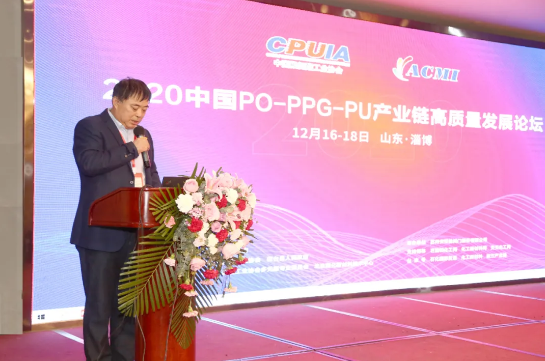 山東藍(lán)星東大有限公司總工程師、總經(jīng)理助理郭輝